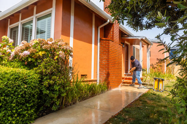Best Local Pressure Washing Services  in Elysburg, PA