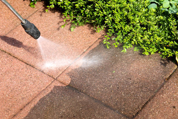 Best Residential Pressure Washing Services  in Elysburg, PA